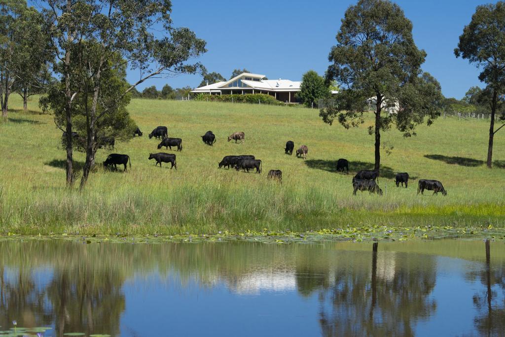 Nerong NSW eAccommodation