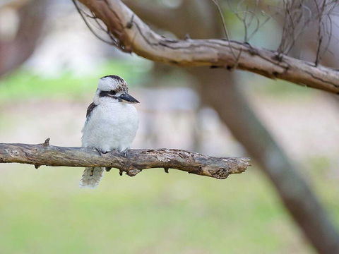 1 'Intrepid', 3 Intrepid Close - Amazing Views Of Shoal Bay, Only 100m From The Beach - eAccommodation 1