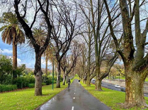 D124 Big Stay At Biggs - eAccommodation 2