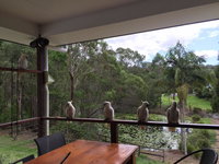 Book Upper Coomera Accommodation Vacations eAccommodation eAccommodation