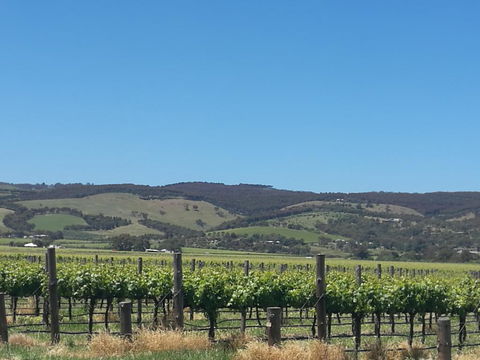 A Victor Harbour Retreat Aldinga Tony's Music Cottage - eAccommodation 3