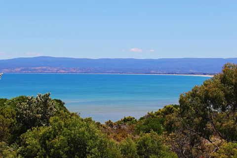 Acacia Cottage - eAccommodation 1