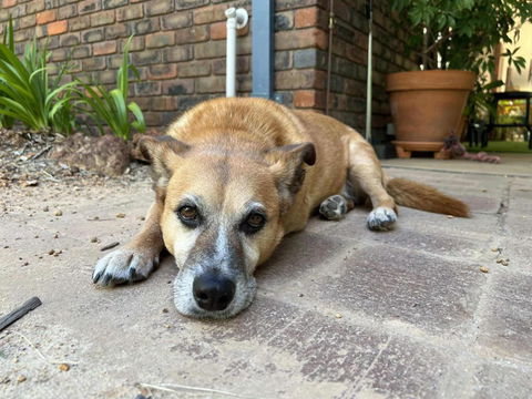 Diamond Lake Escape - eAccommodation 1