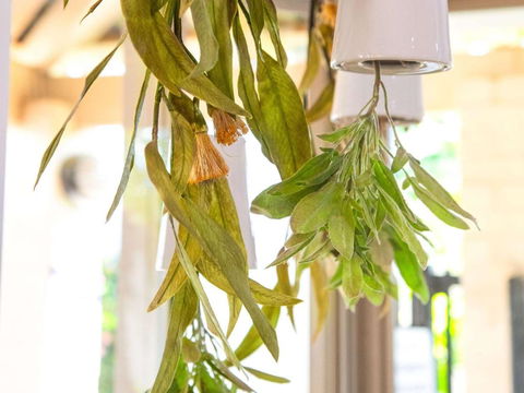 Ibis Styles Karratha - eAccommodation 2