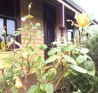 Albion Cottage - eAccommodation