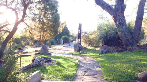 Aquila Eco Lodges - eAccommodation 3