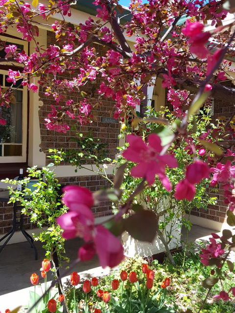 Arden On McLachlan - eAccommodation 3