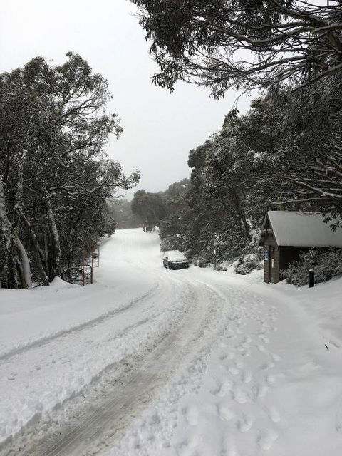 MAGNIFICENT SKIING ON MOUNT BULLER - eAccommodation 3