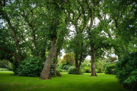 Mallavale Farm, Boat Harbour - eAccommodation 2