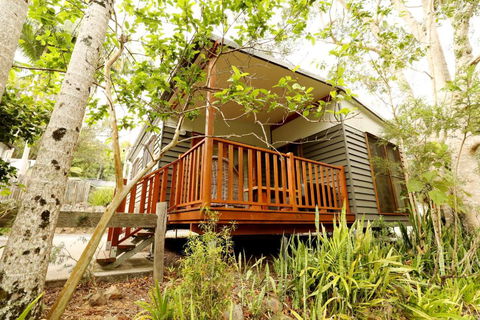 Mt Warning Rainforest Park - eAccommodation 1