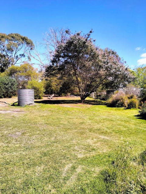Peaceful Pet Friendly 1 Bedroom Cottage On 1 Acre - eAccommodation 3