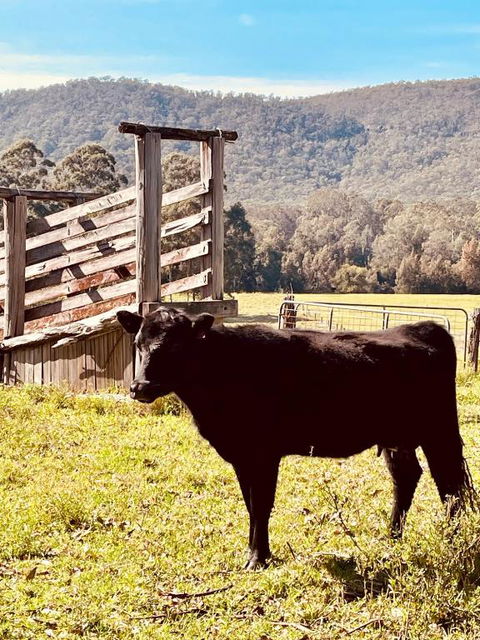 Peppercorns Riverside Farm Stay - eAccommodation 0