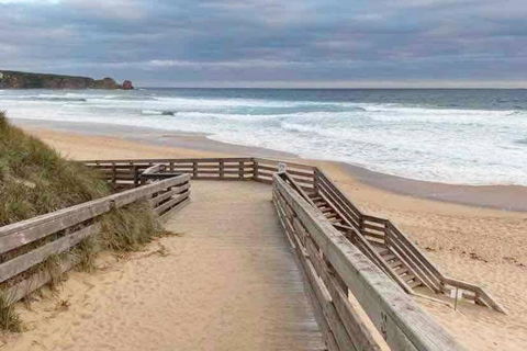 Racing Penguin Surf Grand Prix Walk Phillip Island - eAccommodation 1