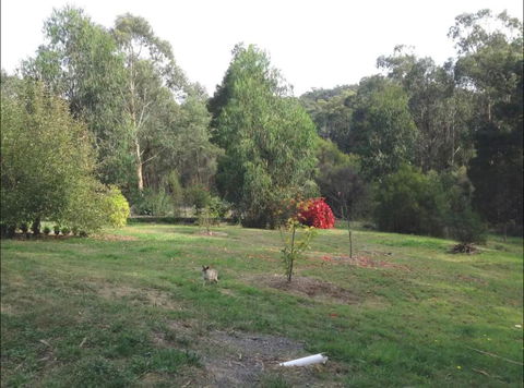 Rainy Hill Retreat - The Cottage - eAccommodation 1