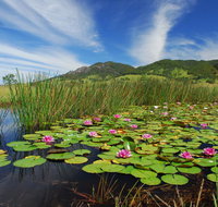 Barrington Hideaway- River Cottages - eAccommodation