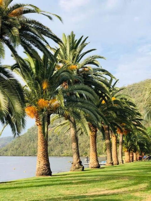 Riva On The Hawkesbury - eAccommodation 0