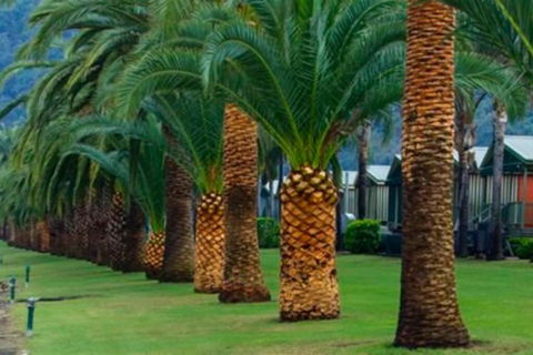 Riva On The Hawkesbury - eAccommodation 3