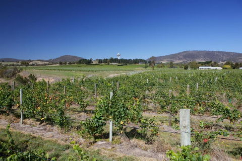 Riversdale Estate Cottages - eAccommodation 1