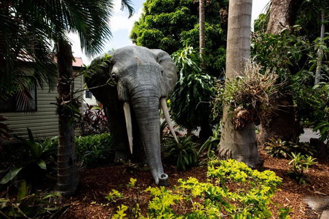 Sarina Palms Caravan And Cabins Village - eAccommodation 3