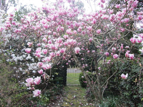 Bellawongarah At Berry - eAccommodation 1