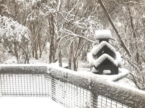 Belltrees - eAccommodation 1