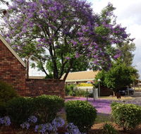 Belvoir Village Motel  Apartments Wodonga - eAccommodation