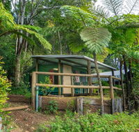 Binna Burra Rainforest Campsite - eAccommodation