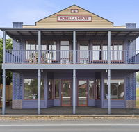 Blue Rosella On Piper - eAccommodation