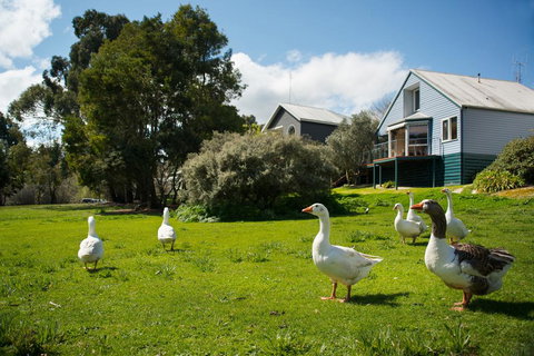 Boatshed Villa Green Door - eAccommodation 3