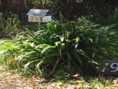 White Jacaranda Tiny House By Tiny Away - eAccommodation 3
