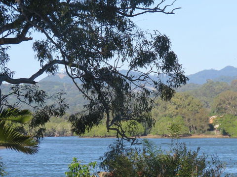 Waterfront House In Currumbin - eAccommodation 3