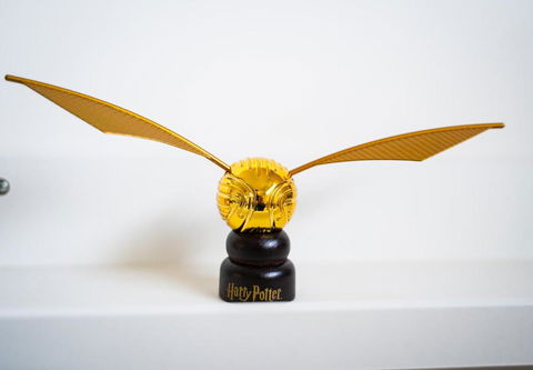 Welcome Muggles To The World Of Wizardry - eAccommodation 3