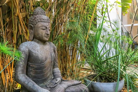 Zen Garden Beach House Casuarina By UHoliday - eAccommodation 0