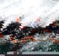 Cruise in Moreton Bay Marine Park and Moreton Island - eAccommodation