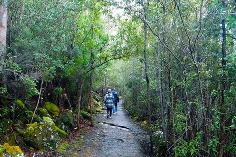 Kunanyi/Mt Wellington Tour & Hobart Hop-On Hop-Off Bus - eAccommodation 1