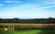 Mornington Peninsula Tour Inc Chairlift,beach Boxes,lunch,choc Tasting And More - thumb 2