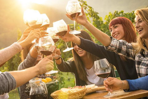 Mornington Peninsula Tour Inc Chairlift,beach Boxes,lunch,choc Tasting And More - eAccommodation 3
