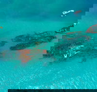 Private Tangalooma Wrecks Tour - eAccommodation