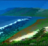 Cairns Reef and Rainforest Combo Daintree Rainforest and the Great Barrier Reef - eAccommodation