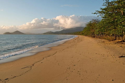 Cairns Reef And Rainforest Combo: Daintree Rainforest And The Great Barrier Reef - eAccommodation 4
