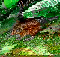 3-Day Small-Group Tour of North Queensland with Pick Up - eAccommodation