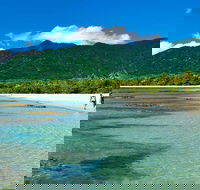 Private Daintree National Park Day Tour from Cairns Including Cape Tribulation and Mossman Gorge - eAccommodation