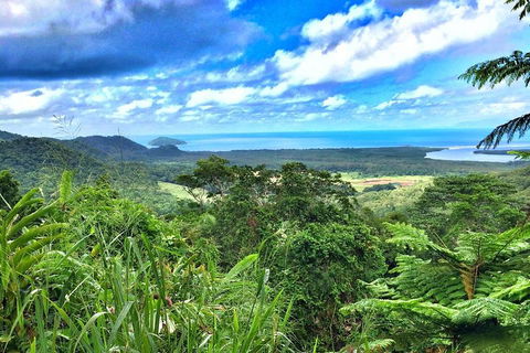 Private Daintree National Park Day Tour From Cairns Including Cape Tribulation And Mossman Gorge - eAccommodation 2