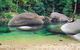 Private Daintree National Park Day Tour From Cairns Including Cape Tribulation And Mossman Gorge - thumb 4
