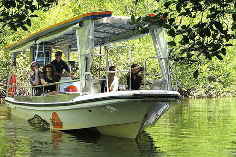 Private Daintree National Park Day Tour From Cairns Including Cape Tribulation And Mossman Gorge - eAccommodation 5