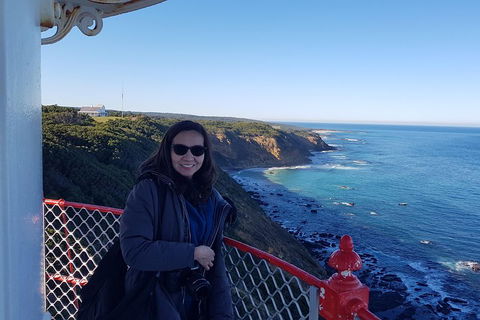 Great Ocean Road Full Day Private Experience - eAccommodation 1