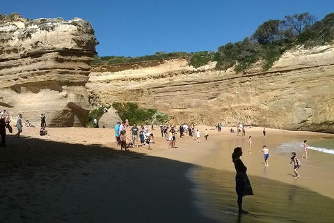 Great Ocean Road Full Day Private Experience - eAccommodation 3