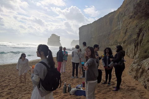 Great Ocean Road Full Day Private Experience - eAccommodation 4