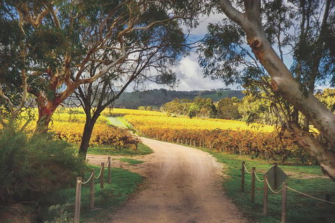 McLaren Vale Winery Small Group Tour With Wine Tasting And Lunch - eAccommodation 1