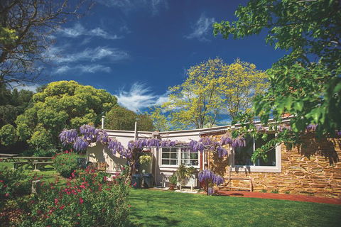 McLaren Vale Winery Small Group Tour With Wine Tasting And Lunch - eAccommodation 2